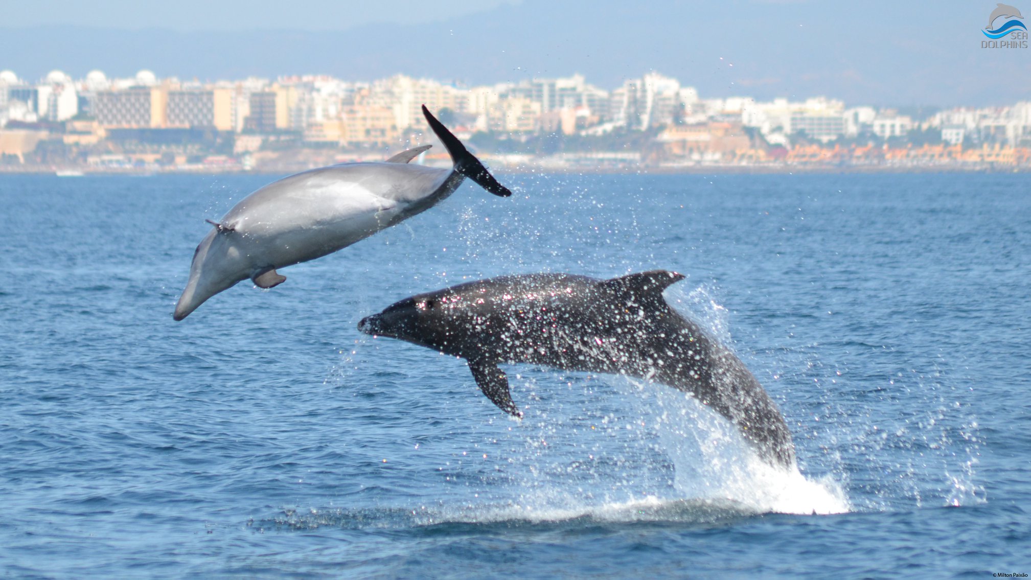 39409143_322042375030263_1953184893806575616_o